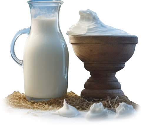 Производство и реализация высококачественной молочной продукции