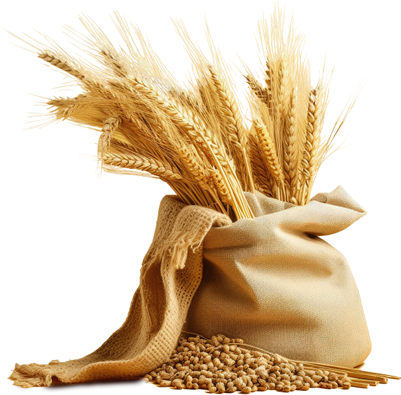Производство, хранение и реализация зерна и элитных семян